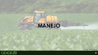 MANEJO
Fonte: Valtra, 2025.
51
 