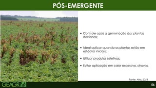 Fonte: Alta, 2024.
PÓS-EMERGENTE
Controle após a germinação das plantas
daninhas;
Ideal aplicar quando as plantas estão em
estádios iniciais;
Utilizar produtos seletivos;
Evitar aplicação em calor excessivo, chuvas.
56
 