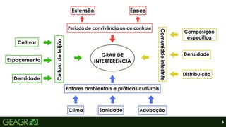 6
GRAU DE
INTERFERÊNCIA
Fatores ambientais e práticas culturais
Cultura
do
feijão
Período de convivência ou de controle
Comunidde
infestnte
Extensão Época
Composição
especifica
Densidade
Distribuição
Clima Sanidade Adubação
Cultivar
Espaçamento
Densidade
 