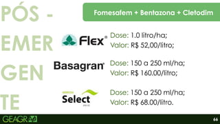 PÓS -
EMER
GEN
TE
Dose: 1.0 litro/ha;
Valor: R$ 52,00/litro;
Dose: 150 a 250 ml/ha;
Valor: R$ 160.00/litro;
Dose: 150 a 250 ml/ha;
Valor: R$ 68.00/litro.
66
Fomesafem + Bentazona + Cletodim
 