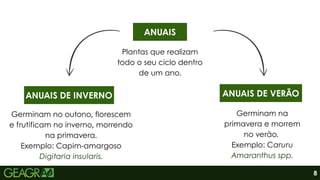 ANUAIS
Plantas que realizam
todo o seu ciclo dentro
de um ano.
ANUAIS DE INVERNO ANUAIS DE VERÃO
Germinam na
primavera e morrem
no verão.
Exemplo: Caruru
Amaranthus spp.
Germinam no outono, florescem
e frutificam no inverno, morrendo
na primavera.
Exemplo: Capim-amargoso
Digitaria insularis.
8
 