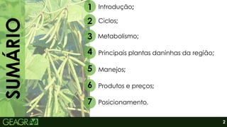 SUMÁRIO
1
2
Introdução;
3
4
5 Manejos;
6 Produtos e preços;
7 Posicionamento.
Ciclos;
Metabolismo;
Principais plantas daninhas da região;
2
 