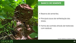 BANCO DE SEMENTE
Reserva de sementes;
Principal causa de reinfestação das
áreas;
Forma de controle através de herbicida
com residual.
Fonte: Matheus Caetano, 2025.
49
 