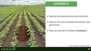 DORMÊNCIA
Método de sobrevivência das daninhas;
Mesmo com as condições favoráveis, não
germinam;
Tipos de dormência: física e fisiológica.
Fonte: Matheus Caetano, 2025.
50
 