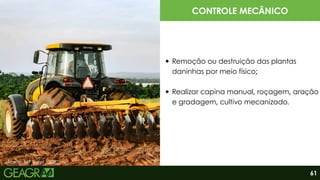 Fonte: MF Rural., 2022.
CONTROLE MECÂNICO
Remoção ou destruição das plantas
daninhas por meio físico;
Realizar capina manual, roçagem, aração
e gradagem, cultivo mecanizado.
61
 