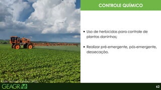 Fonte: Matheus Caetano, 2023.
CONTROLE QUÍMICO
Uso de herbicidas para controle de
plantas daninhas;
Realizar pré-emergente, pós-emergente,
dessecação.
62
 
