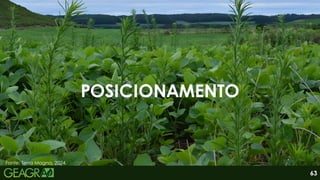 Fonte: Terra Magna, 2024.
POSICIONAMENTO
63
 