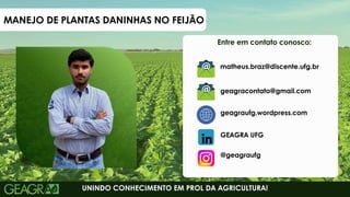 4
Entre em contato conosco:
UNINDO CONHECIMENTO EM PROL DA AGRICULTURA!
geagraufg.wordpress.com
geagracontato@gmail.com
GEAGRA UFG
@geagraufg
matheus.braz@discente.ufg.br
MANEJO DE PLANTAS DANINHAS NO FEIJÃO
 