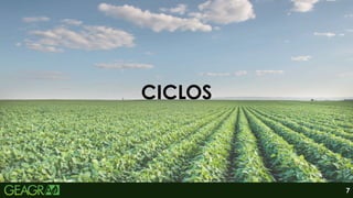 7
CICLOS
 