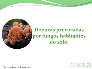 Doenças provocadas
por fungos habitantes
do solo
Fonte: virologia em demasia, 2017.
 