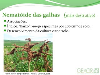 Associações;
Índice: “Baixo” >10-50 espécimes por 200 cm³ de solo;
Desenvolvimento da cultura e controle.
Nematóide das galhas (mais destrutivo)
Fonte: Paulo Sérgio Santos - Revista Cultivar, 2012.
 