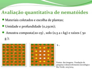 Materiais coletados e escolha de plantas;
Umidade e profundidade (0,25cm);
 Amostra composta(20-25) , solo (0,5 a 1 kg) e raízes ( 50
g );
Identificações e cuidados posteriores .
Avaliação quantitativa de nematóides
Fontes das imagens: Fundação de
pesquisa e desenvolvimento tecnológico
Rio Verde, 2013/2014.
 