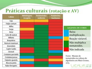 Práticas culturais (rotação e AV)
Fonte: Manejo de
nematoides na cultura do
algodoeiro em Mato Grosso,
2015.
LEGENDA DE CORES
Baixa
multiplicação.
Reação váriavel.
Não multiplica
nematoides.
Não indicada
 