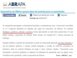 Fonte: ABRAPA, 2017.
 