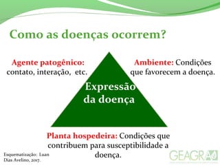 Como as doenças ocorrem?
Expressão
da doença
Planta hospedeira: Condições que
contribuem para susceptibilidade a
doença.
Ambiente: Condições
que favorecem a doença.
Agente patogênico:
contato, interação, etc.
Esquematização: Luan
Dias Avelino, 2017.
 
