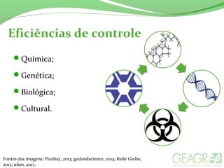 Eficiências de controle
Química;
Genética;
Biológica;
Cultural.
Fontes das imagens: Pixabay, 2013; godandscience, 2014; Rede Globo,
2013; ufsm, 2017.
 