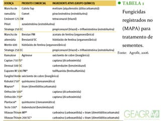 TABELA 1
Fungicidas
registrados no
(MAPA) para
tratamento de
sementes.
Fonte: Agrofit, 2006.
 