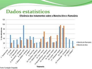 Dados estatísticos
 