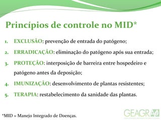 1. EXCLUSÃO: prevenção de entrada do patógeno;
2. ERRADICAÇÃO: eliminação do patógeno após sua entrada;
3. PROTEÇÃO: interposição de barreira entre hospedeiro e
patógeno antes da deposição;
4. IMUNIZAÇÃO: desenvolvimento de plantas resistentes;
5. TERAPIA: restabelecimento da sanidade das plantas.
Princípios de controle no MID*
*MID = Manejo Integrado de Doenças.
 