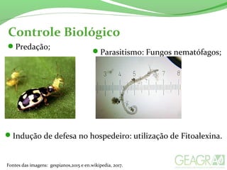 Controle Biológico
Parasitismo: Fungos nematófagos;
Predação;
Fontes das imagens: gespianos,2015 e en.wikipedia, 2017.
Indução de defesa no hospedeiro: utilização de Fitoalexina.
 