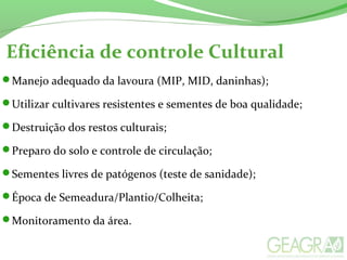 Eficiência de controle Cultural
Manejo adequado da lavoura (MIP, MID, daninhas);
Utilizar cultivares resistentes e sementes de boa qualidade;
Destruição dos restos culturais;
Preparo do solo e controle de circulação;
Sementes livres de patógenos (teste de sanidade);
Época de Semeadura/Plantio/Colheita;
Monitoramento da área.
 