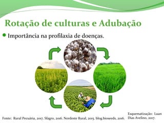 Rotação de culturas e Adubação
Fonte: Rural Pecuária, 2017. Sfagro, 2016. Nordeste Rural, 2015. blog.bioseeds, 2016.
Importância na profilaxia de doenças.
Esquematização: Luan
Dias Avelino, 2017.
 
