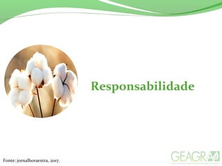 Responsabilidade
Fonte: jornalhoraextra, 2017.
 