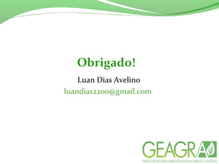Obrigado!
Luan Dias Avelino
luandias2200@gmail.com
 