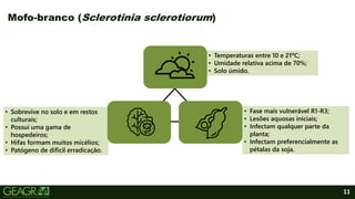 • Sobrevive no solo e em restos
culturais;
• Possui uma gama de
hospedeiros;
• Hifas formam muitos micélios;
• Patógeno de difícil erradicação.
• Temperaturas entre 10 e 21ºC;
• Umidade relativa acima de 70%;
• Solo úmido.
• Fase mais vulnerável R1-R3;
• Lesões aquosas iniciais;
• Infectam qualquer parte da
planta;
• Infectam preferencialmente as
pétalas da soja.
11
Mofo-branco (Sclerotinia sclerotiorum)
 