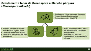 • Presente em todas as regiões
produtoras de soja do Brasil;
• Sobrevive em restos culturais;
• Fungo mais encontrado em lotes
de sementes.
• Regiões com climas quentes e chuvosos;
• Favorecido por altas umidades;
• Temperaturas entre 23 e 27ºC
• Ataca todas as partes da planta;
• Inicia com pontos castanhos-
avermelhados;
• Evoluindo pra manchas;
• Nas sementes ocorre a mancha
púrpura.
14
Crestamento foliar de Cercospora e Mancha púrpura
(Cercospora kikuchi)
 
