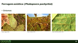 25
Ferrugem-asiática (Phakopsora pachyrhizi)
• Sintomas:
Fonte: Emater, 2022. Fonte: Revista cultivar, 2022.
Fonte: Aegro, 2022.
 