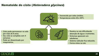 • Cisto pode permanecer no solo
por mais de 8 anos;
• Seu ciclo se completa com 4
semanas;
• Pode ser disseminado por
maquinários.
• Favorecido por solos úmidos;
• Temperaturas entre 20 e 30ºC.
• Penetra na raiz dificultando
absorção de água e nutrientes;
• Sintomas aparecem em
reboleiras;
• Sistema radicular fica reduzido;
• Forma cistos na raiz.
29
Nematoide do cisto (Heterodera glycines)
 