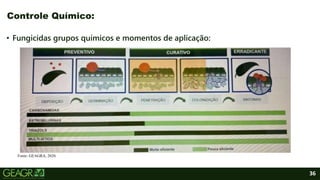 36
• Fungicidas grupos químicos e momentos de aplicação:
Controle Químico:
Fonte: GEAGRA, 2020.
 