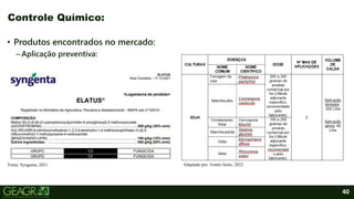 40
• Produtos encontrados no mercado:
–Aplicação preventiva:
Controle Químico:
Fonte: Syngenta, 2021. Adaptado por: Ivanês Junio, 2022.
 