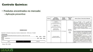 42
• Produtos encontrados no mercado:
–Aplicação preventiva:
Controle Químico:
Fonte: UPL, 2022.
 