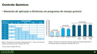 44
• Momento de aplicação e eficiências em programas de manejo químico:
Controle Químico:
Fonte dos dados: Fundação MS, 2016.
Tabela 2- Descrição dos momentos de aplicação de Fox + Áureo no controle do
complexo de doenças da soja. Maracaju, MS, 2015.
Figura 2- Eficiência de controle de ferrugem asiática da soja pelo fungicida Fox
em diferentes épocas de aplicação. Maracaju, MS, 2015.
 