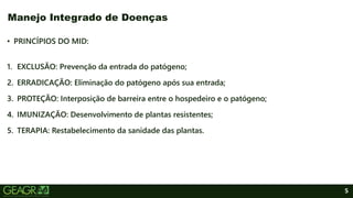 5
• PRINCÍPIOS DO MID:
1. EXCLUSÃO: Prevenção da entrada do patógeno;
2. ERRADICAÇÃO: Eliminação do patógeno após sua entrada;
3. PROTEÇÃO: Interposição de barreira entre o hospedeiro e o patógeno;
4. IMUNIZAÇÃO: Desenvolvimento de plantas resistentes;
5. TERAPIA: Restabelecimento da sanidade das plantas.
Manejo Integrado de Doenças
 
