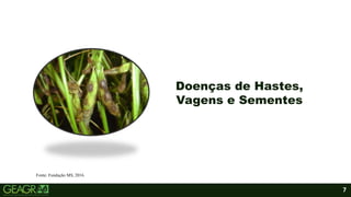 7
Doenças de Hastes,
Vagens e Sementes
Fonte: Fundação MS, 2016.
 