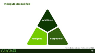 2
10
Triângulo da doença
Ambiente
Patógeno Hospedeiro
Fonte: Elaborado por Heitor Jaime, 2025.
 