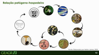 2
13
Relação patógeno-hospedeiro
Fonte: Elaborado por Heitor Jaime, 2025.
 