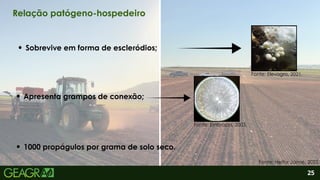 2
Apresenta grampos de conexão;
1000 propágulos por grama de solo seco.
Sobrevive em forma de escleródios;
25
Relação patógeno-hospedeiro
Fonte: Elevagro, 2021.
Fonte: Embrapa, 2003.
Fonte: Heitor Jaime, 2025.
 
