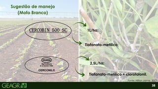 2
Tiofanato-metílico + clorotalonil.
38
Sugestão de manejo
(Mofo Branco)
Tiofanato-metílico;
Fonte: Nilton Jaime, 2025.
1L/ha;
2,5L/ha;
 