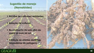 2
Escolha de cultivares resistentes;
48
Sugestão de manejo
(Nematóides)
Fonte: Nilton Jaime e Rehagro, 2025.
Rotação de culturas;
Revolvimento do solo afim de
expor os ovos ao sol;
Controle de plantas daninhas
hospedeiras do patógeno.
 