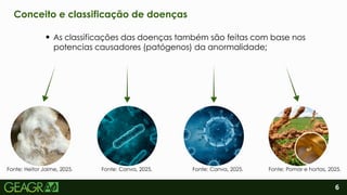 2
6
Conceito e classificação de doenças
As classificações das doenças também são feitas com base nos
potencias causadores (patógenos) da anormalidade;
Fonte: Heitor Jaime, 2025. Fonte: Canva, 2025. Fonte: Canva, 2025. Fonte: Pomar e hortas, 2025.
 