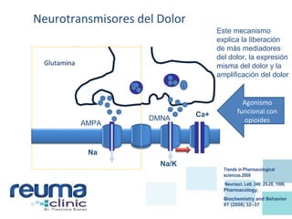 Neurotransmisores del Dolor
Na
Na/K
Ca+
AMPA
Glutamina
DMNA
-
Trends in Pharmacological
sciences.2008
Neurosci. Lett. 248: 25-28, 1998.
Pharmacology,
Biochemistry and Behavior
91 (2008) 32–37
Este mecanismo
explica la liberación
de más mediadores
del dolor, la expresión
misma del dolor y la
amplificación del dolor
Agonismo
funcional con
opioides
 