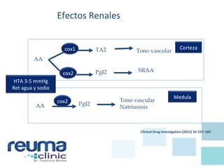 Efectos Renales
AA
cox1
cox2
TA2 Tono vascular
PgI2 SRAA
AA
Tono vascular
Natriuresis
PgI2cox2
HTA 3-5 mmHg
Ret agua y sodio
Corteza
Medula
Clinical Drug Investigation (2013) 33:167–183
 