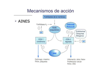 Mecanismos de acción

   AINES
 