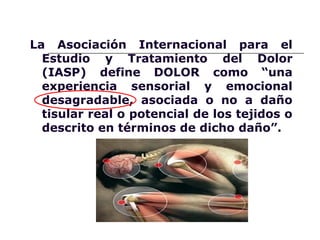 La Asociación Internacional para el
  Estudio y Tratamiento del Dolor
  (IASP) define DOLOR como “una
  experiencia sensorial y emocional
  desagradable, asociada o no a daño
  tisular real o potencial de los tejidos o
  descrito en términos de dicho daño”.
 