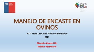 MANEJO DE ENCASTE EN
OVINOS
PDTI Padre Las Casas Territorio Huichahue
2023
Marcelo Álvarez Lillo
Médico Veterinario
 