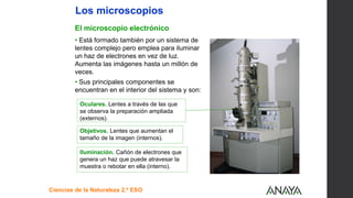 UNIDAD
1
Ciencias de la Naturaleza 2.º ESO
• Está formado también por un sistema de
lentes complejo pero emplea para iluminar
un haz de electrones en vez de luz.
Aumenta las imágenes hasta un millón de
veces.
• Sus principales componentes se
encuentran en el interior del sistema y son:
Objetivos. Lentes que aumentan el
tamaño de la imagen (internos).
Iluminación. Cañón de electrones que
genera un haz que puede atravesar la
muestra o rebotar en ella (interno).
Oculares. Lentes a través de las que
se observa la preparación ampliada
(externos).
Los microscopios
El microscopio electrónico
 